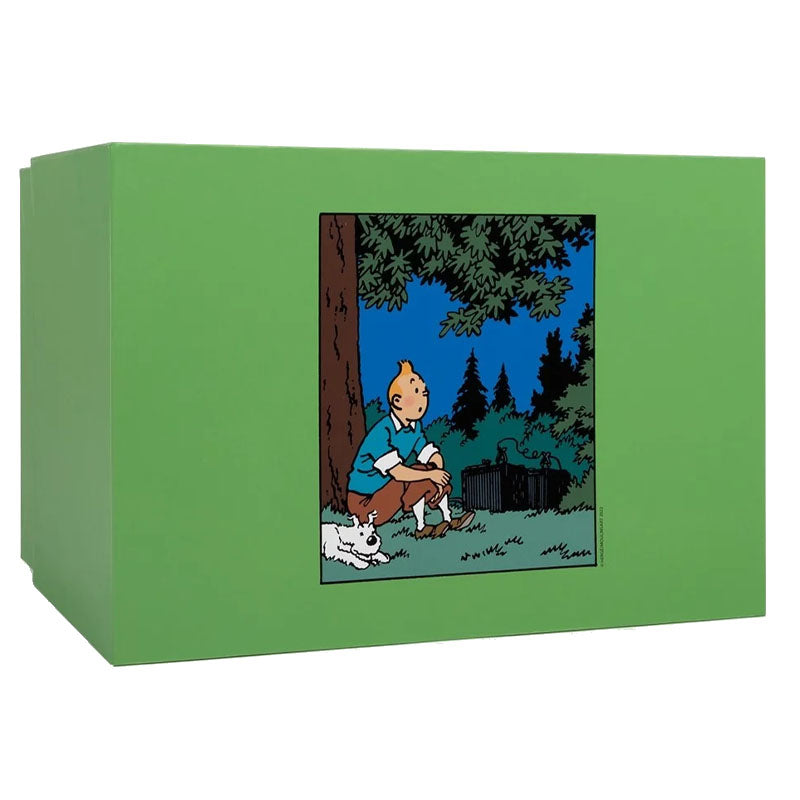 Tintin and Snowy Sitting On The Grass