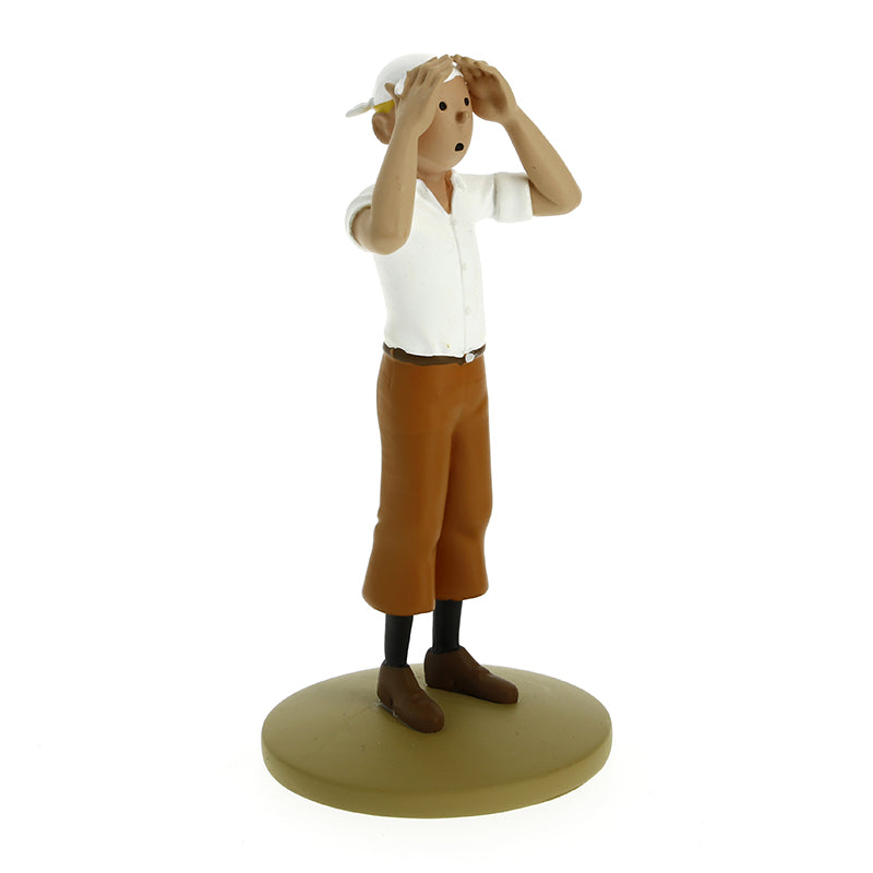 Tintin Desert