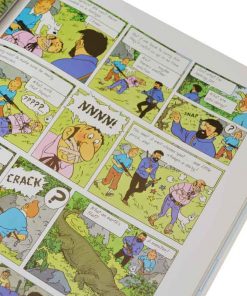 Alternative view of Hardback flight 714 to sydney